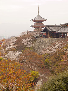 日本清水津田寺的塔塔神道樱花旅游宗教地标吸引力观光旅行游客宝塔图片