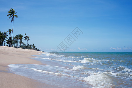 沙海和蓝海的波浪海浪冲浪阳光地平线支撑海滩旅游反射液体热带图片