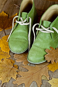 绿皮靴和黄叶鞋带边缘人行道木头党派植物树叶框架季节皮革图片