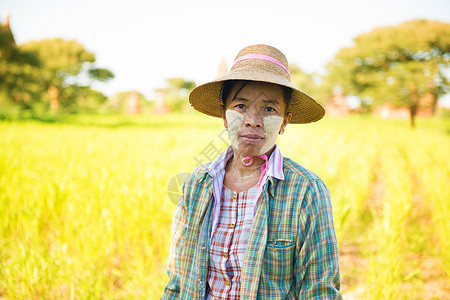 缅甸成熟农农民图片