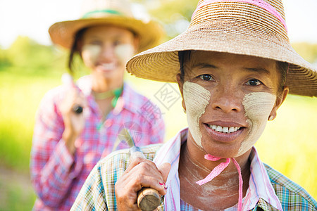 缅甸农民劳动者女性栽培经济村民农田乡村村庄农村传统图片