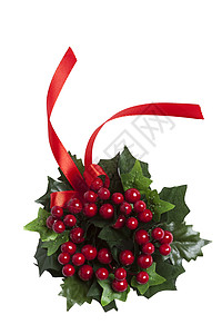 圣诞莓花圈 带红丝带图片