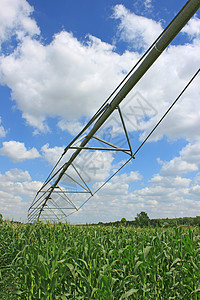 用于农业的灌溉系统技术滚筒玉米现代化地球培育管道线圈干旱卷轴图片