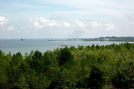 山顶海面和红树林的外观天空场景假期晴天海岸红树海岸线热带太阳地平线图片