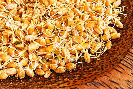 谷粒发芽的小麦收获节食植物农业饮食纤维谷物食物乡村棕色图片