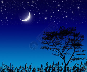 树 月亮和星星天堂天气天空轨道陨石星系行星月光月球科学图片