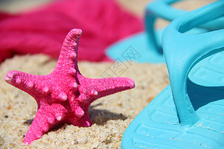 海费上有趣的粉红海星鱼图片