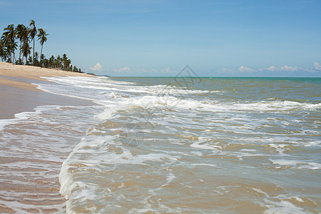 沙海和蓝海的波浪天空支撑海岸蓝色季节海浪环境阳光冲浪海滩图片