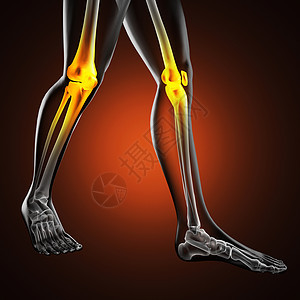 人类放射摄影扫描科学生物射线解剖学骨头膝盖医生教育考试手术图片