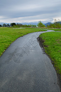 有绿草的公路图片