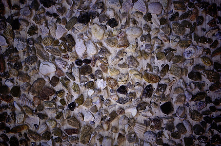 背景石和贝壳壁纹理摘要集水泥灰色痕迹白色插图石头历史贝壳红色染料图片