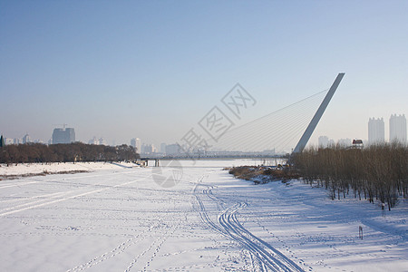 哈尔滨市的有线桥图片