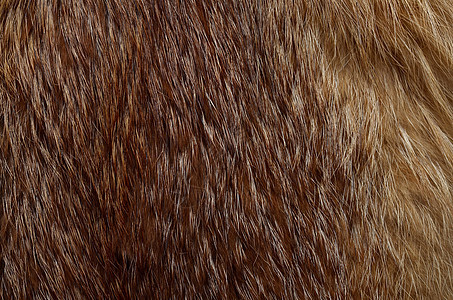 美极地狐狸毛皮的贴近 作为背景有用衣服灰色皮肤头发宏观材料荒野外套装饰白色图片