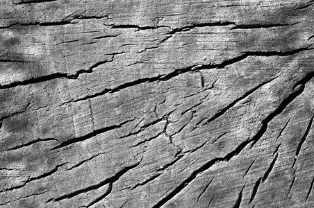 旧碎木碎片圆圈树干曲线木材时间植物记录桌面粮食高清图片