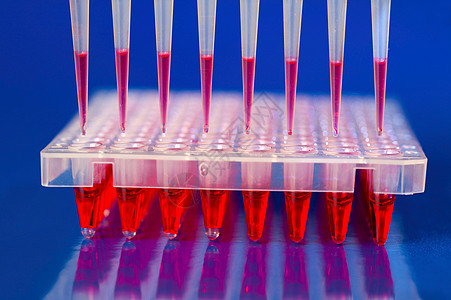 DNA分析 将反应混合物与m一起装入96well板块通道吸管检测微孔测序核酶血液科学装载机移液器图片