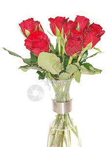 花瓶中的红玫瑰念日花瓣庆典玫瑰叶子植被假期玻璃生日花束图片