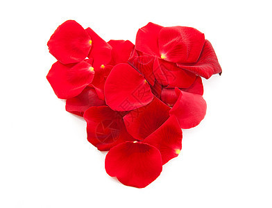 红玫瑰花瓣 以心脏形状红色花朵树叶背景图片