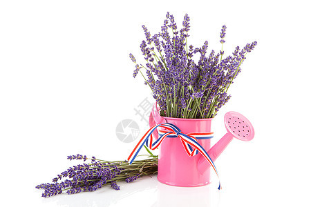 粉红色水罐 用采出的熏衣草香气紫色玻璃草本花束芳香粉色香味植物花朵图片