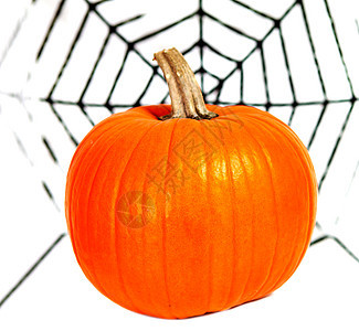 万圣南瓜和蜘蛛网季节性蜘蛛橙子庆典诡计派对网络蔬菜假期图片