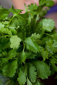 银色厨房生长大理石食物草本植物美食香菜蔬菜香料叶子图片
