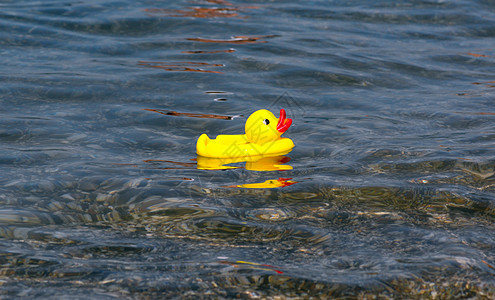 海上黄色橡胶鸭玩具图片