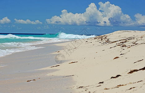 热带旅游目的地美丽的风景沙滩图片