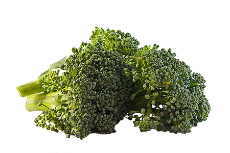 花椰醇植物树叶照片食物植物学生态蔬菜白色绿色背景图片