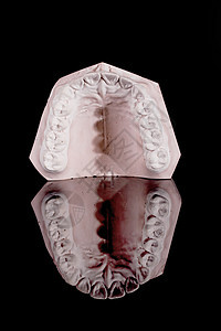 人体牙齿 型号牙科模具药品口腔科生物学假牙矫正假体卫生假肢图片