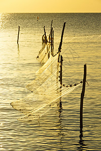 泰国湾渔网捕鱼支撑海滨渔夫天空生活日落颜色阴影海洋时间图片