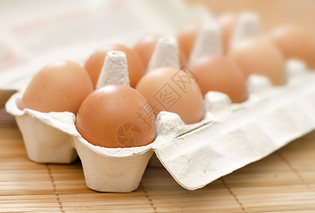 生蛋小鸡摊位食物生活农场动物视角脆弱性市场母鸡图片