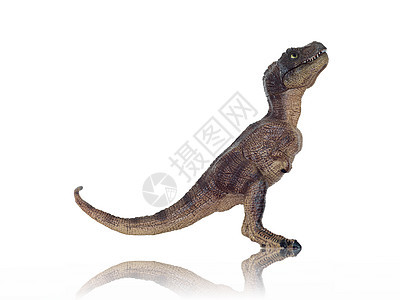 玩具动物工艺恐龙数字雕塑荒野哺乳动物纪念品木头古董运气图片