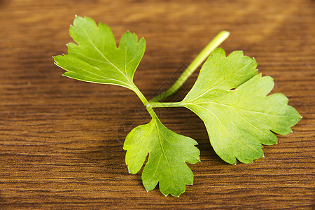 绿色面纱食物沙拉厨房香料香菜味道桌子植物小枝营养图片