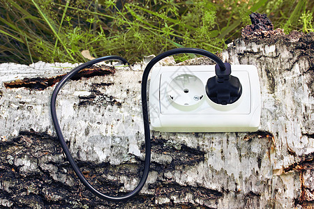 树上的电源贮器和开关插件力量电缆发明环境插座生态生物活力养护插头图片