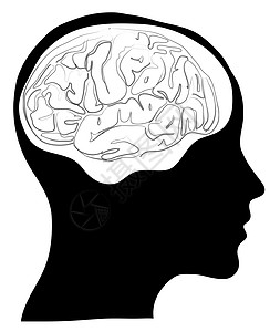 脑部人的头头绘画思维男性男人医疗解剖学科学插图头脑心理学图片
