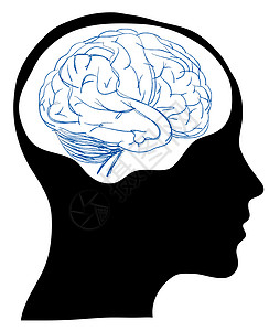 脑部人的头头头脑医疗卡通片解剖学插图男人思维科学心理学绘画图片