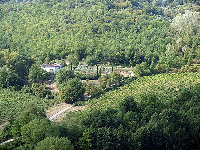 托斯卡纳省基安提的葡萄园和橄榄田农场植物水果葡萄园栽培树木生长收成爬坡房子图片
