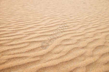 沙纸质沙丘波浪状波纹阴影地形海滩海浪假期橙子黄色图片