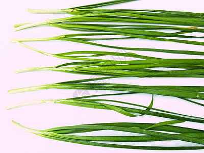 白色背景上孤立的大蒜细须叶子植物香料饮食生活韭葱蔬菜草本植物食物韭菜图片