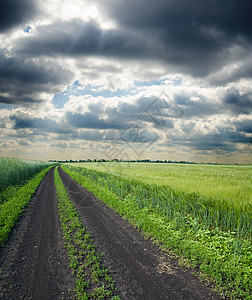 通往阴云地平线的肮脏道路环境太阳光线射线蓝色草原季节场地风暴场景农村图片