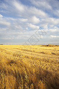 西班牙语农村地区草地假期远景远足生活生长金属犁沟土壤风景图片