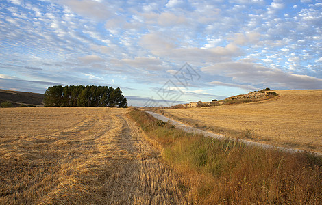 西班牙语农村地区场地生长国家天气收获假期风景犁沟金属小麦图片