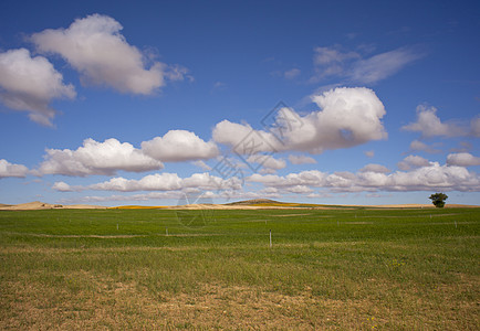 西班牙语农村地区天空农场农田金属麦田土壤太阳小麦风景场景背景