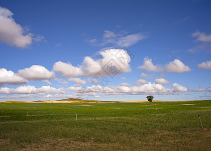 西班牙语农村地区收获麦田农村犁沟天空土壤干草远景全景风景图片