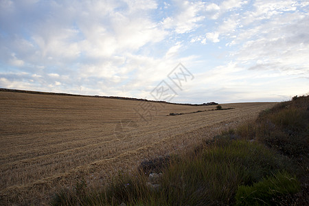西班牙景观 西班牙土壤天空收获小麦国家地形干草假期天气太阳图片