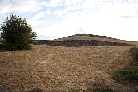 西班牙景观 西班牙假期太阳干草地形天气金属风景草地农村农场图片