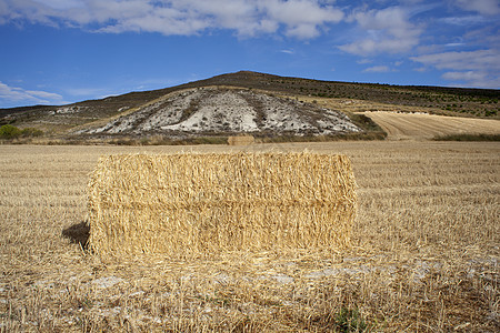 干草的巴勒斯天气地形农村草地农田生活玉米天堂金属国家图片