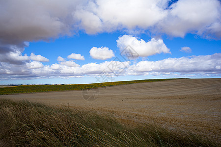 西班牙语农村地区国家农村远足土壤晴天干草稻草小麦玉米全景图片