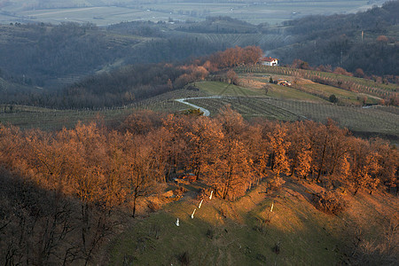 斯洛文尼亚乡村地区日落山脉平原葡萄园地方栽培土地背景图片