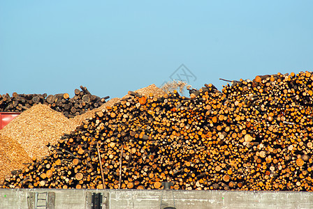 堆满干燥的火柴原木材料林业削片记录贮存运输芯片植物木屑木材业图片