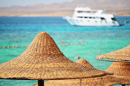 夏季炎夏日的海滨温度晒黑海岸晴天棕褐色运动稻草阴影海洋旅行背景图片